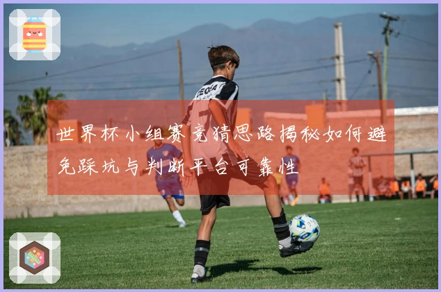 世界杯小组赛竞猜思路揭秘如何避免踩坑与判断平台可靠性