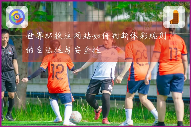 世界杯投注网站如何判断体彩规则的合法性与安全性