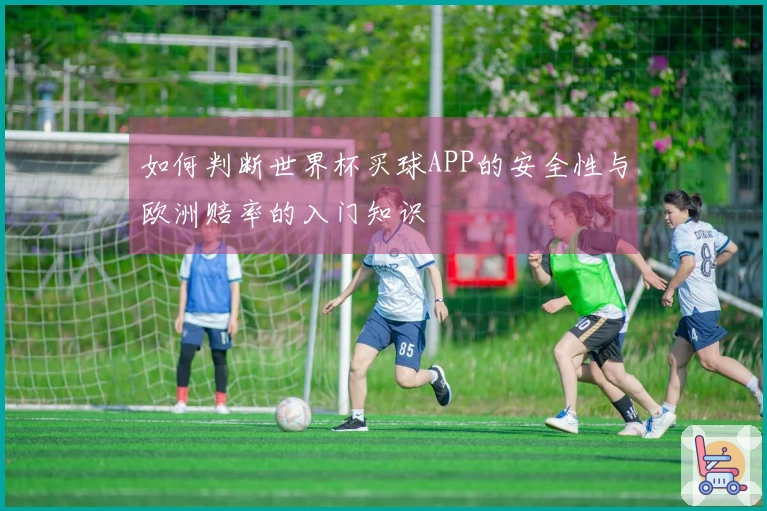 如何判断世界杯买球APP的安全性与欧洲赔率的入门知识