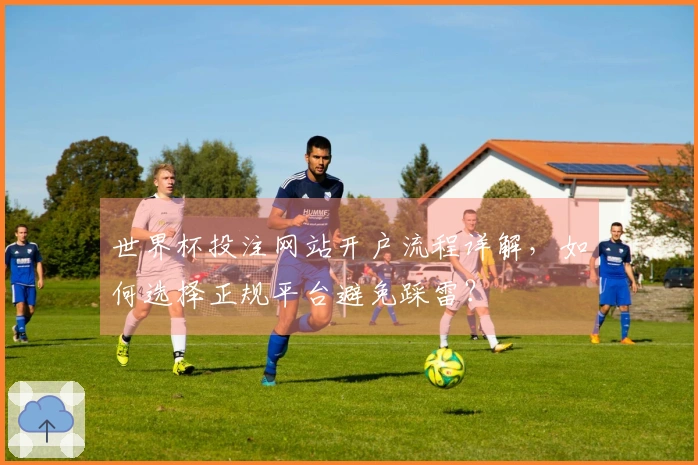 世界杯投注网站开户流程详解，如何选择正规平台避免踩雷？