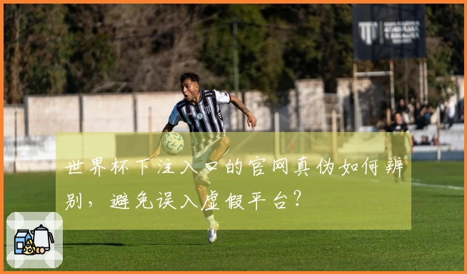 世界杯下注入口的官网真伪如何辨别，避免误入虚假平台？